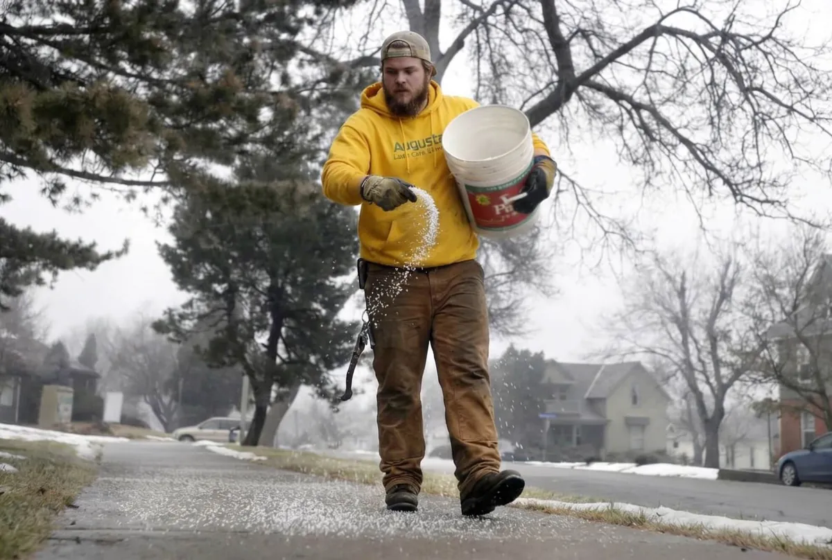 Augusta crew member spreading ice melt on a sidewalk
